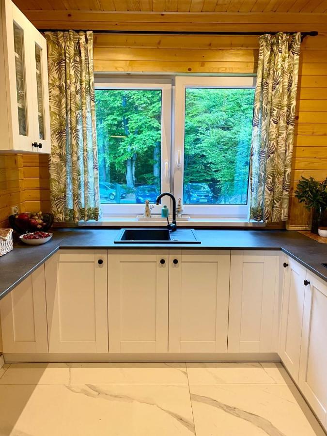 W Borowkach Holiday home